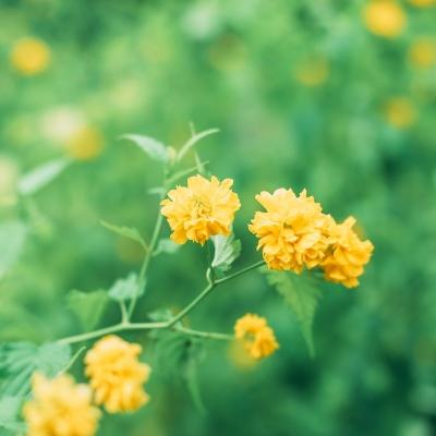 我推塔特牛手游下载